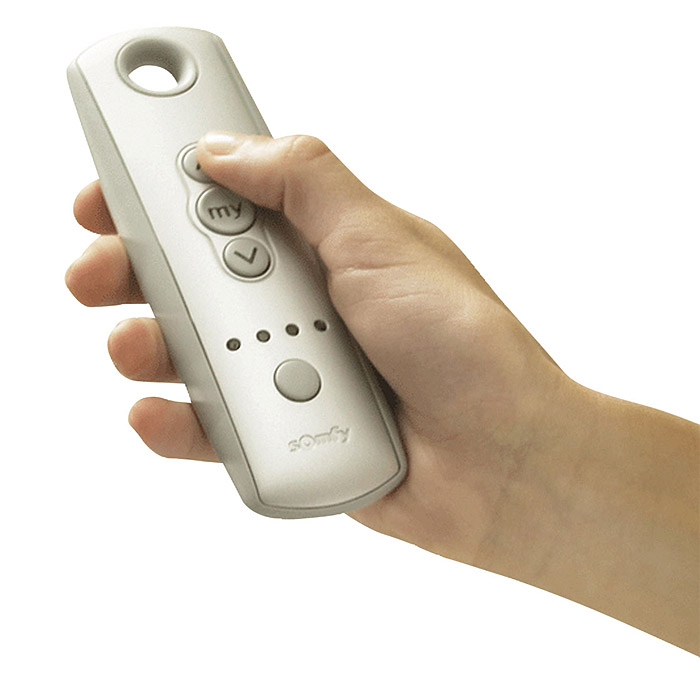 remote-control-handheld
